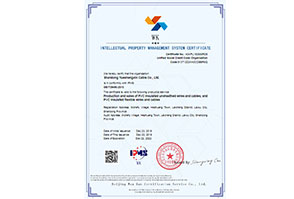 贯标案例-山东玥圣鑫电缆